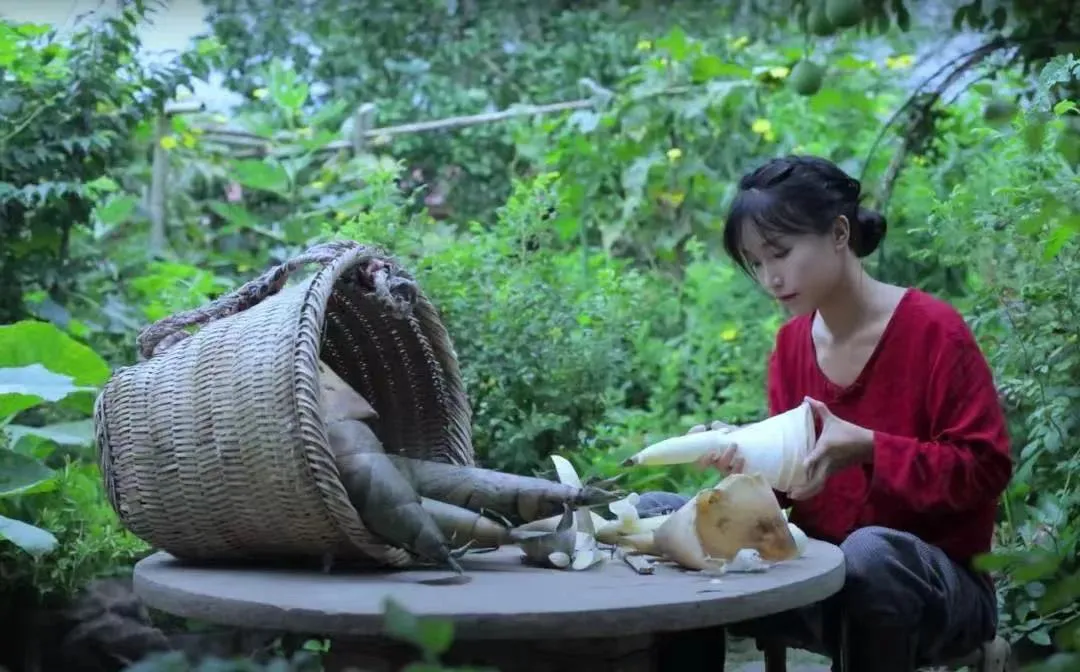 李子柒：反商业化「顶流」