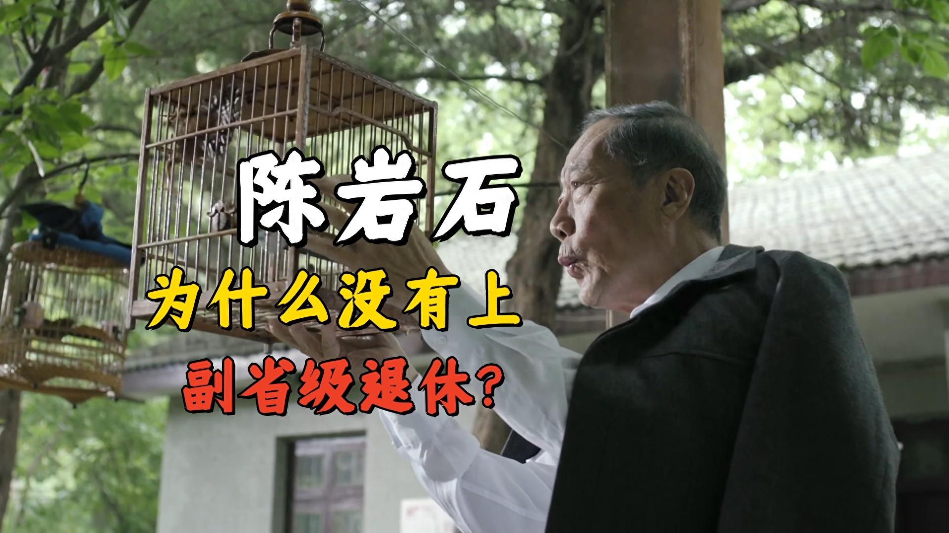 《人民的名义》为什么陈岩石没有上副省级？真不怪赵立春