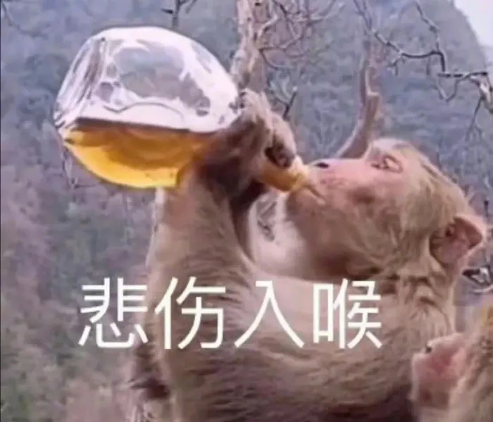 为何我们爱动画电影中那些“疯狂”的动物们？！